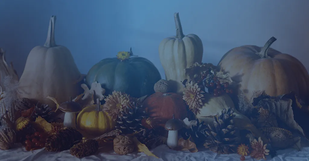 Cybersecurity risks and online safety during the holiday season